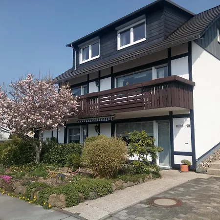 Magnolie Inkl Meine Card Willingen (Upland)